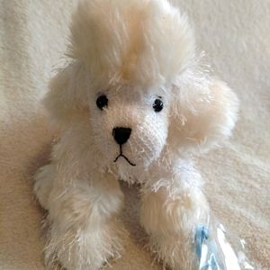 Webkinz Ganz white poodle
